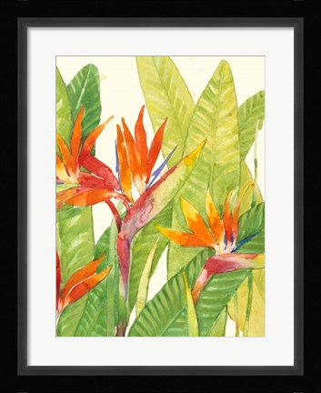 Framed Watercolor Tropical Flowers IV Print
