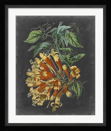 Framed Dramatic Tropical Beauty II Print