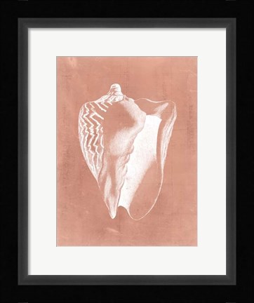 Framed Sealife on Coral I Print