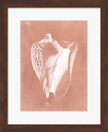 Framed Sealife on Coral I Print