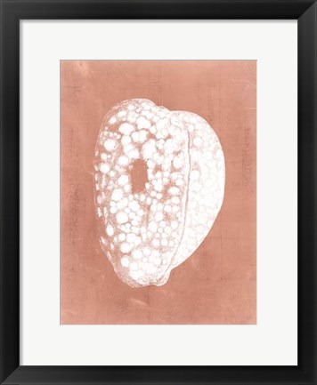 Framed Sealife on Coral III Print