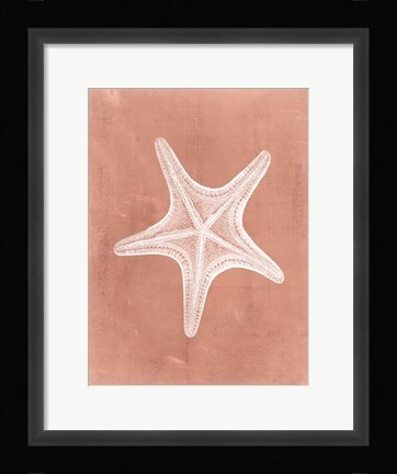 Framed Sealife on Coral IV Print