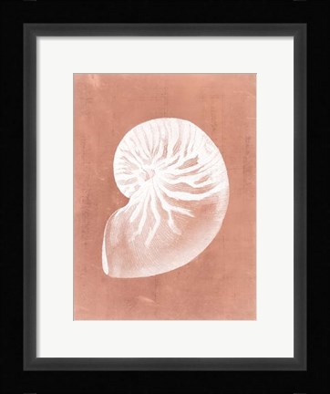 Framed Sealife on Coral V Print