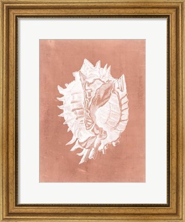Framed Sealife on Coral VI Print