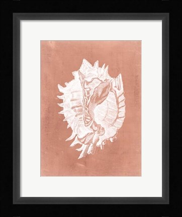 Framed Sealife on Coral VI Print