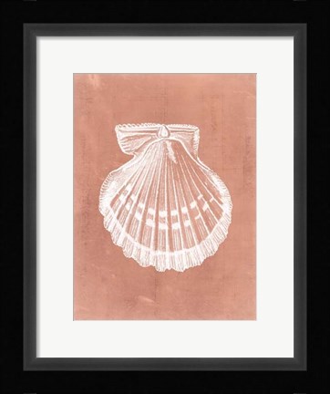 Framed Sealife on Coral VII Print