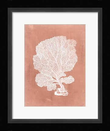 Framed Sealife on Coral VIII Print