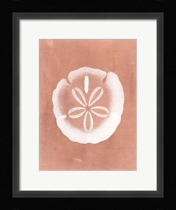 Framed Sealife on Coral IX Print