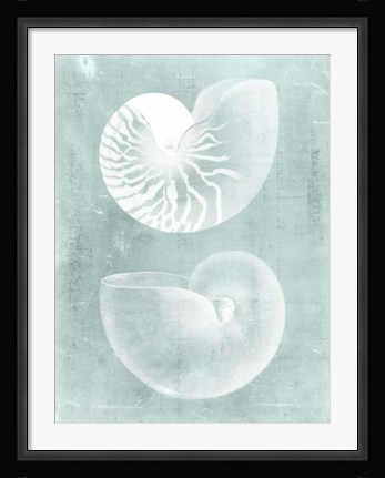 Framed Nautilus on Spa I Print