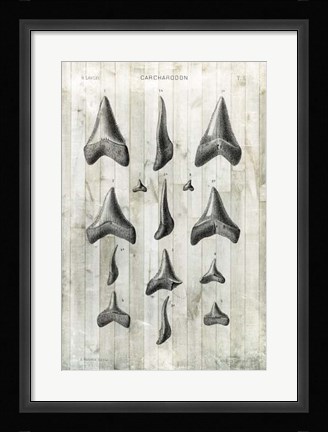 Framed Relic Hunter I Print