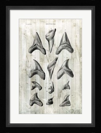 Framed Relic Hunter II Print