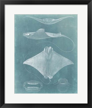 Framed Morning Swim II Print