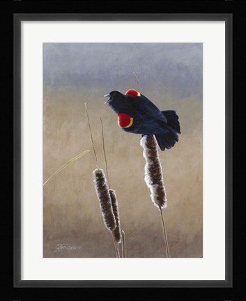 Framed Redwing Morning II Print