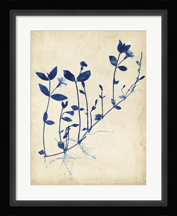 Framed Indigo Leaf Study II Print