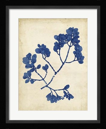 Framed Indigo Leaf Study III Print