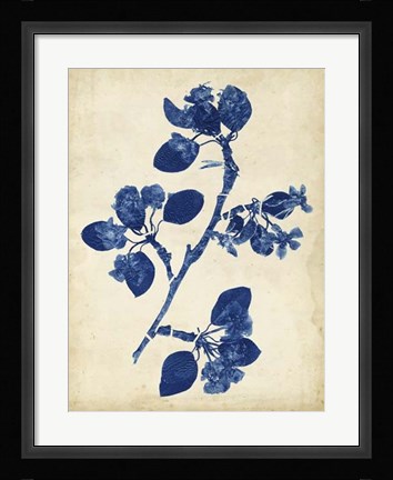 Framed Indigo Leaf Study IV Print