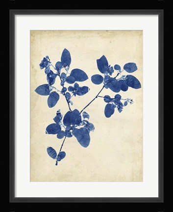 Framed Indigo Leaf Study V Print