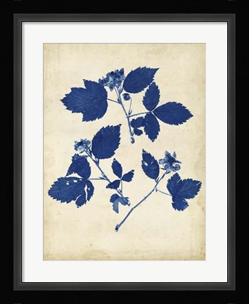 Framed Indigo Leaf Study VI Print