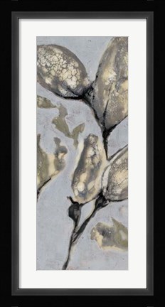 Framed Flower Bud Triptych I Print