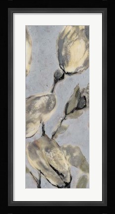 Framed Flower Bud Triptych II Print