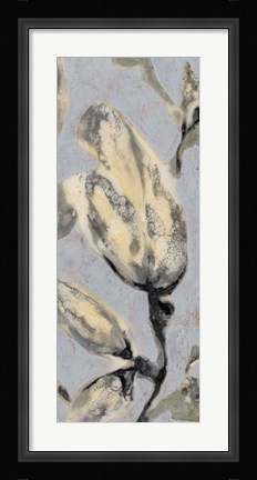 Framed Flower Bud Triptych III Print