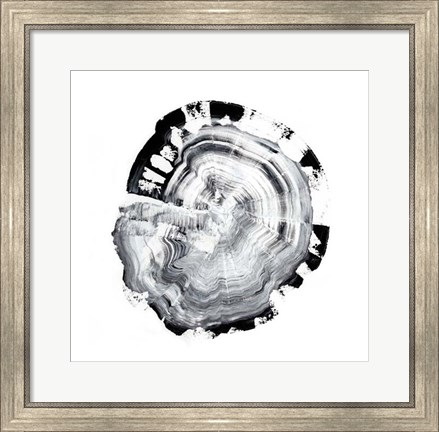 Framed Tree Ring Abstract III Print