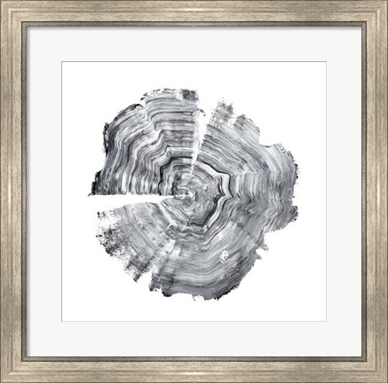 Framed Tree Ring Abstract IV Print