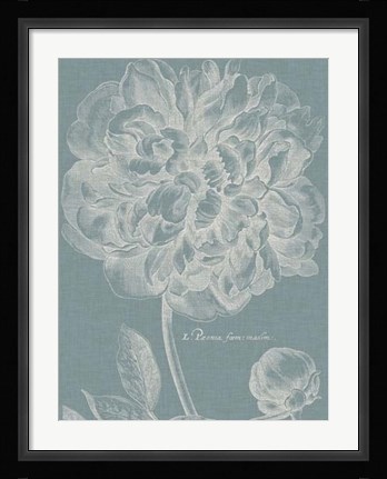 Framed Graceful Peony I Print