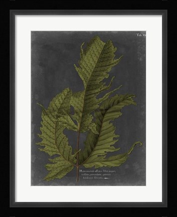 Framed Foliage Dramatique I Print