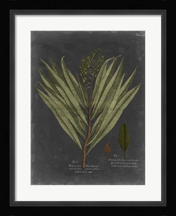 Framed Foliage Dramatique II Print