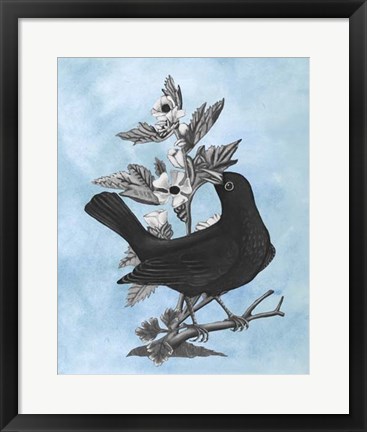 Framed Bird on Blue II Print