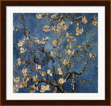 Framed Blossoming Almond Tree, Saint-Remy, c.1890 Detail Print