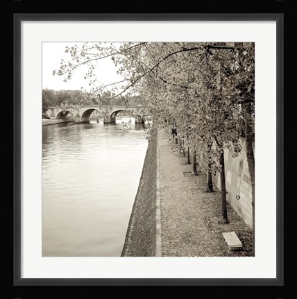 Framed Promenade Seine II Print