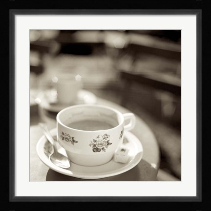 Framed Jardin du Luxembourg II Print