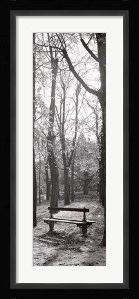 Framed Jardin du Luxembourg Banc Print