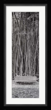 Framed Orto Botanico I Print