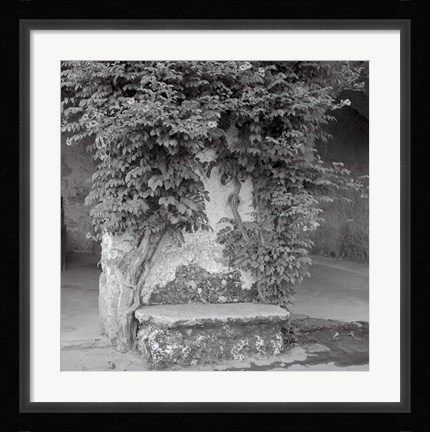 Framed Campagnia II Print