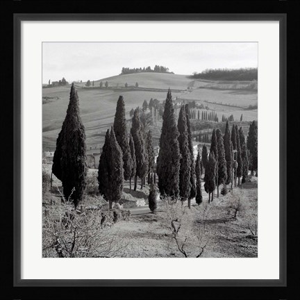 Framed Tuscany IV Print