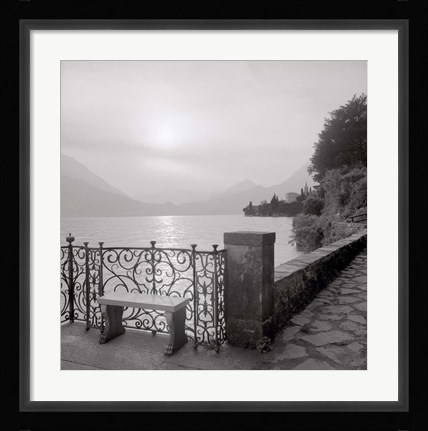 Framed Lake Vista I Print