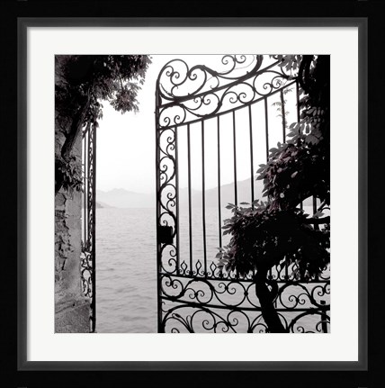 Framed Lake Vista III Print