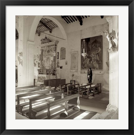 Framed Banogregio I Print