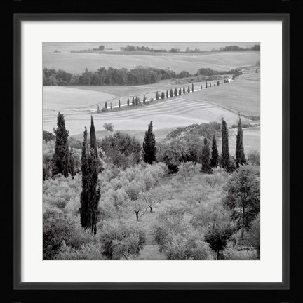 Framed Tuscany VI Print