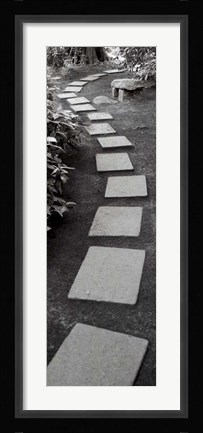 Framed Japanese Garden I Print