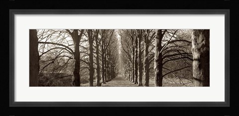 Framed Hamptom Gates Promenade I Print