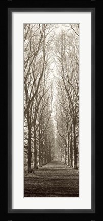 Framed Hampton Gates Promenade Print