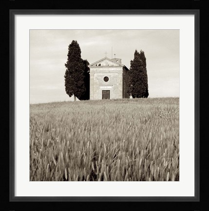 Framed Tuscany IX Print