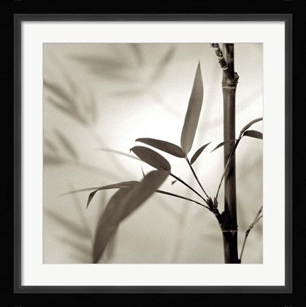 Framed Florison 64 Print