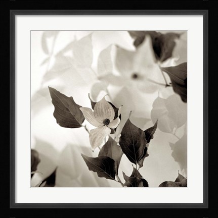 Framed Florison 54 Print