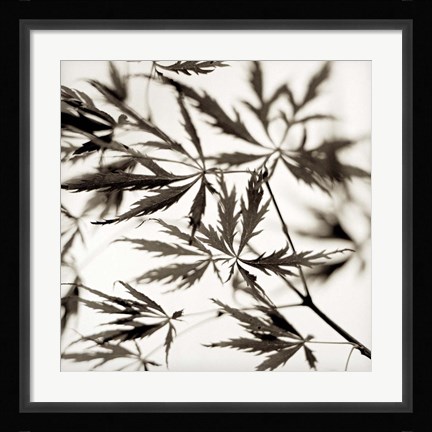 Framed Florison 50 Print