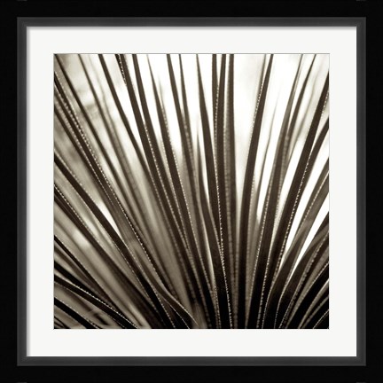 Framed Florison 48 Print